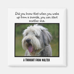 Bearded Collie Personalised Custom Magnet