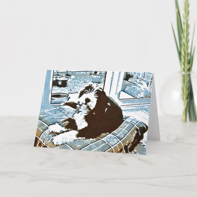 Bearded Collie Pup Greeting Card (Front)