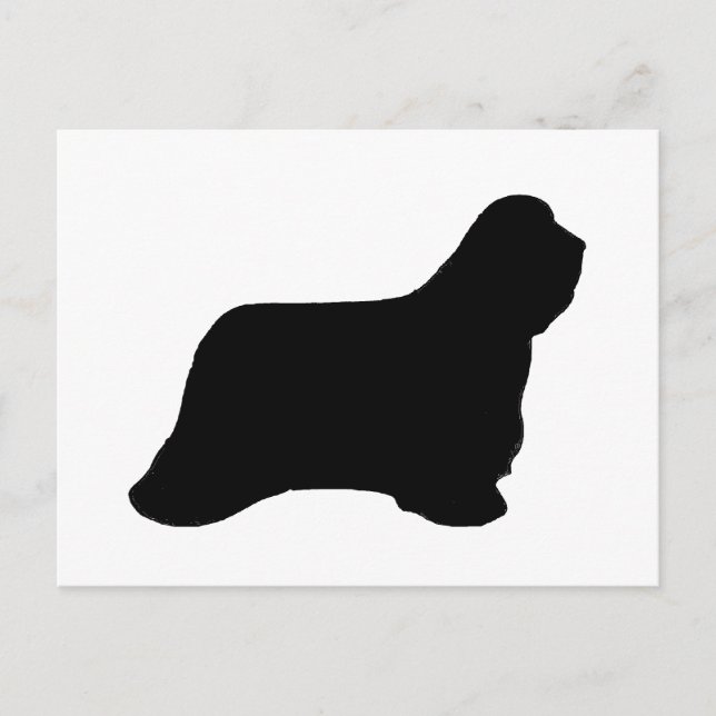 bearded collie silhouette postcard (Front)