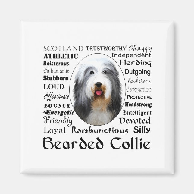Bearded Collie T Shirt  Magnet (Front)