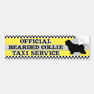 Bearded Collie Taxi Service Bumper Sticker