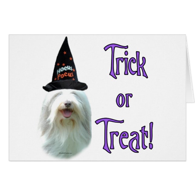 Bearded Collie Trick (Front Horizontal)