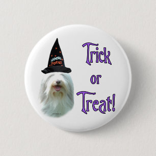 Bearded Collie Trick 6 Cm Round Badge