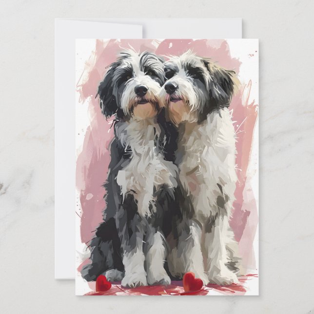 Bearded Collie Valentine's day  Holiday Card (Front)