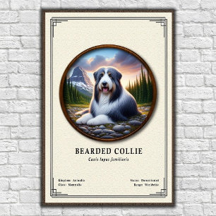 Bearded Collie Zoology Series Poster