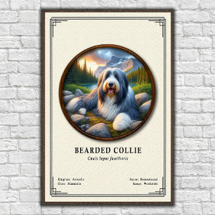 Bearded Collie Zoology Series Poster