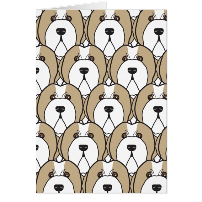 Bearded Collies (Front)