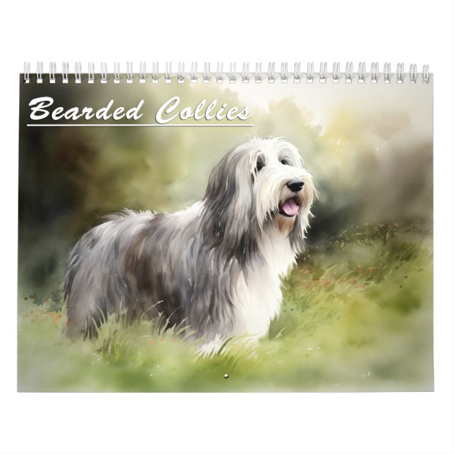 Bearded Collies Calendar, any year Calendar (Cover)
