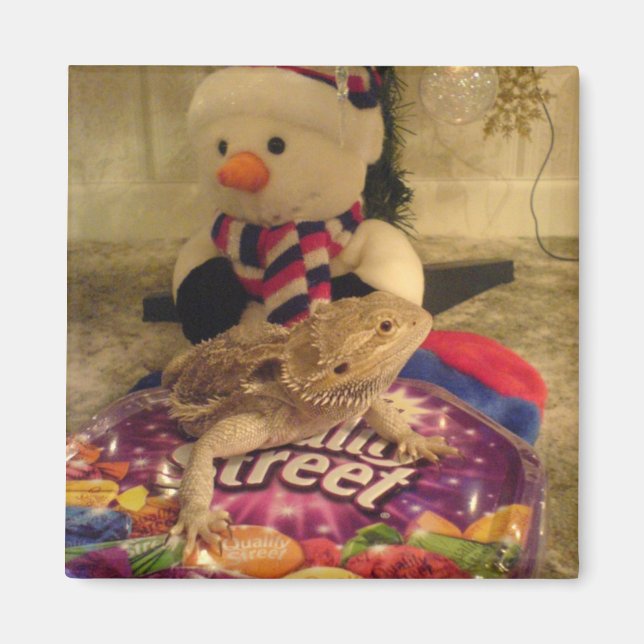 bearded dragon and snowman magnet (Front)