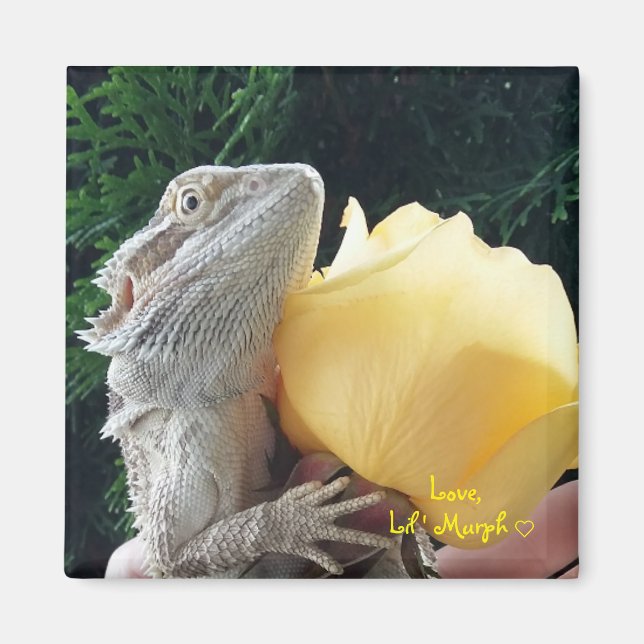 Bearded Dragon and Yellow Rose Magnet (Front)
