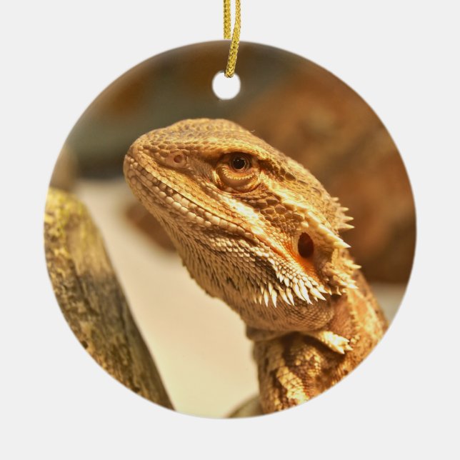 Bearded Dragon Ceramic Tree Decoration (Front)
