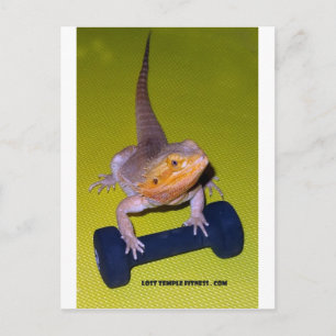 bearded dragon exercising with dumbbell postcard