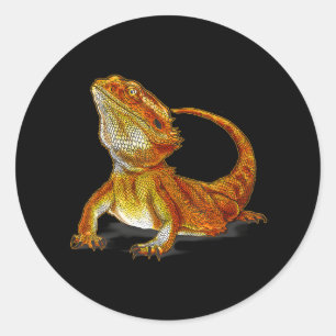 Bearded Dragon Lizard Terraristic Wildlife Animal Classic Round Sticker