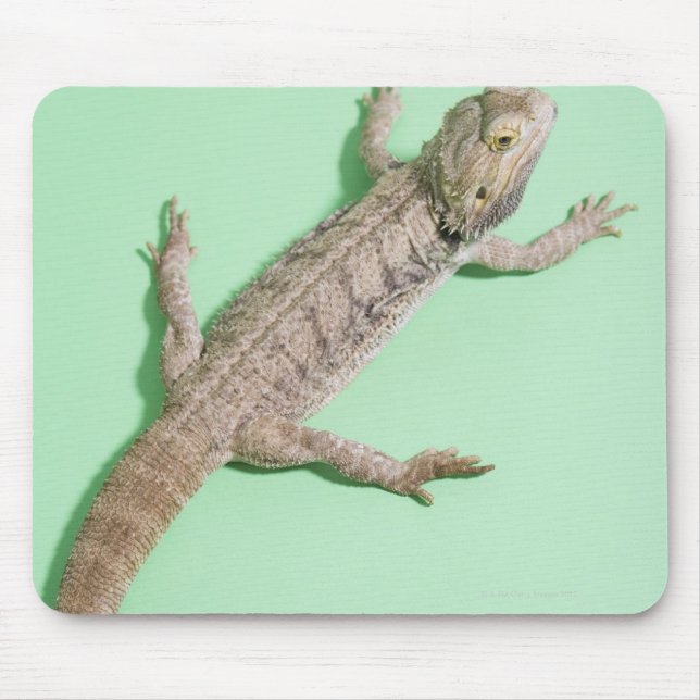 Bearded dragon mouse pad (Front)
