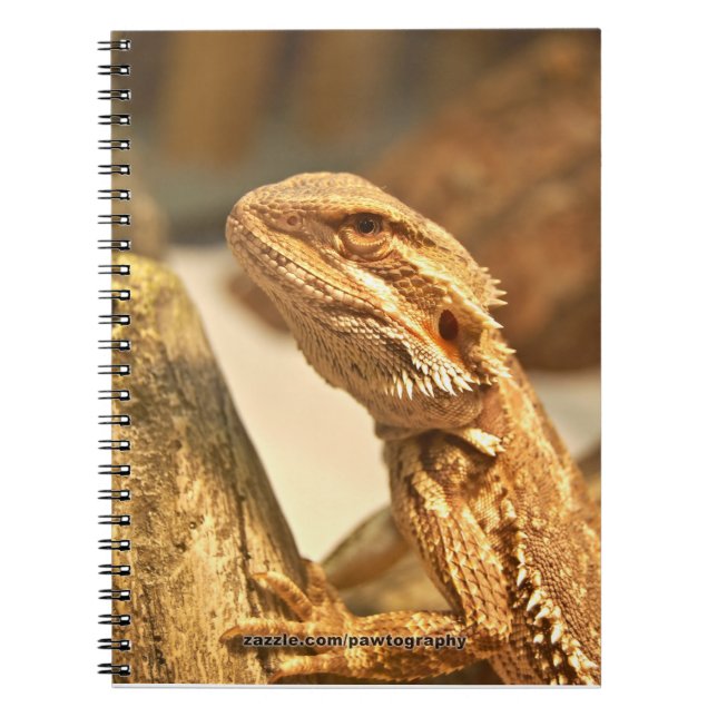 Bearded Dragon Notebook (Front)