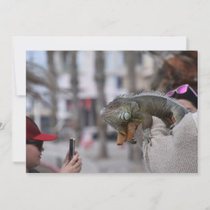 Bearded dragon on the seafront Paphos Invitation