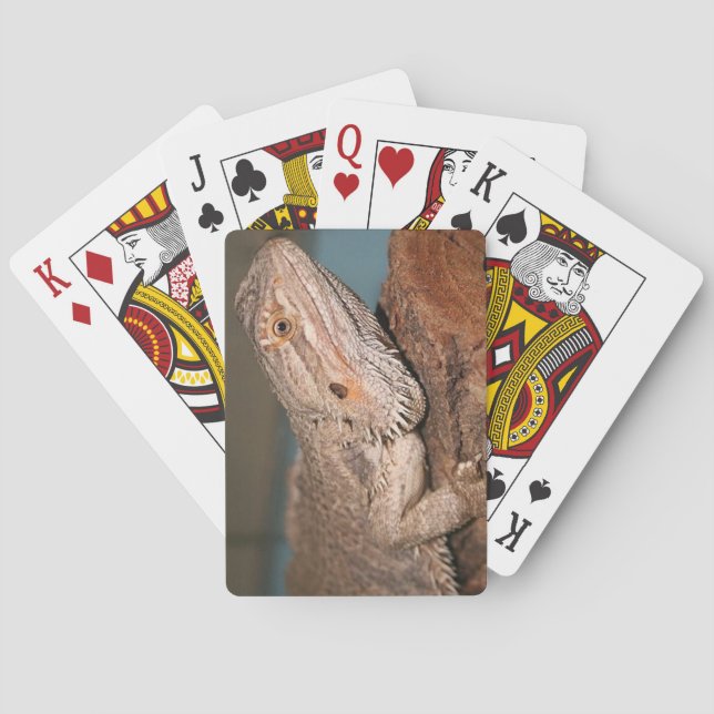 Bearded Dragon Playing Cards (Back)