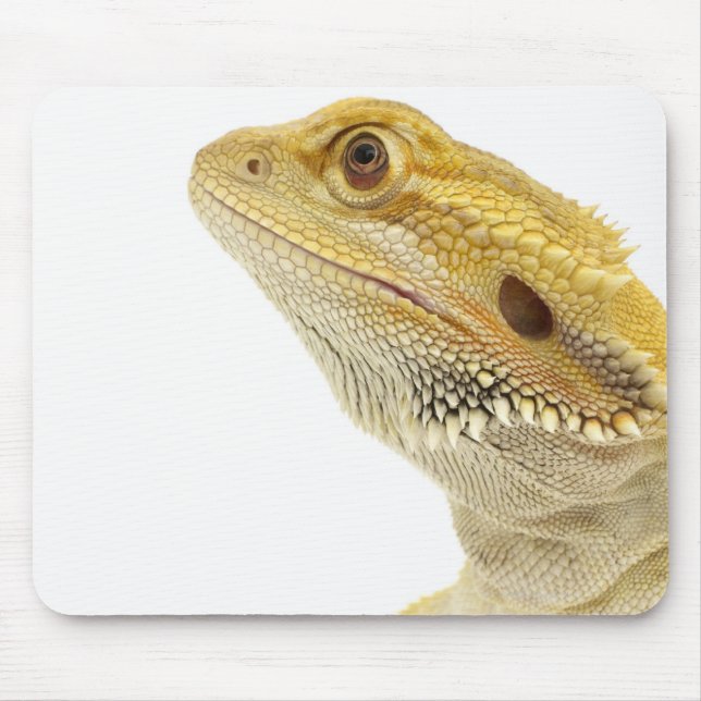 Bearded dragon (Pogona Vitticeps) Mouse Pad (Front)