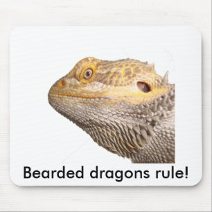 "Bearded dragons rule!" mouse pad