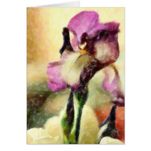 BEARDED IRIS