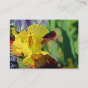 Bearded Iris #1 Business Cards