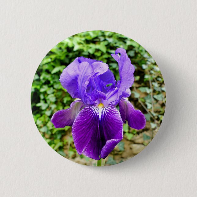 Bearded Iris Badge (Front)