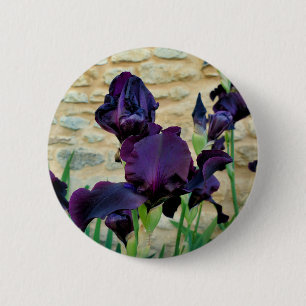 Bearded Iris Badge