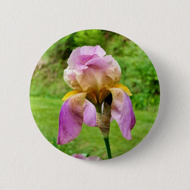 Bearded Iris Badge (Front)