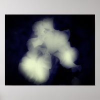 Bearded Iris Black And White High Contrast
