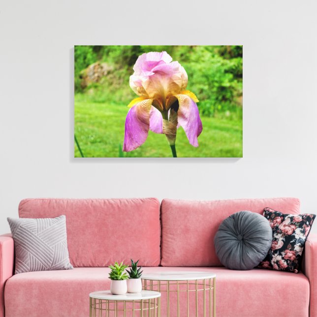 Bearded Iris Canvas Print (Insitu(LivingRoom))