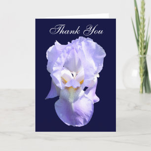 Bearded Iris ~ card