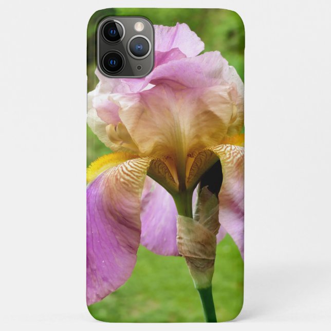 Bearded Iris Case-Mate iPhone Case (Back)