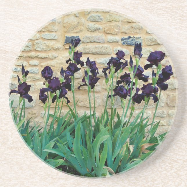 Bearded Iris Coaster (Front)