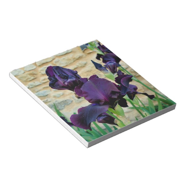 Bearded Iris Notepad (Angled)