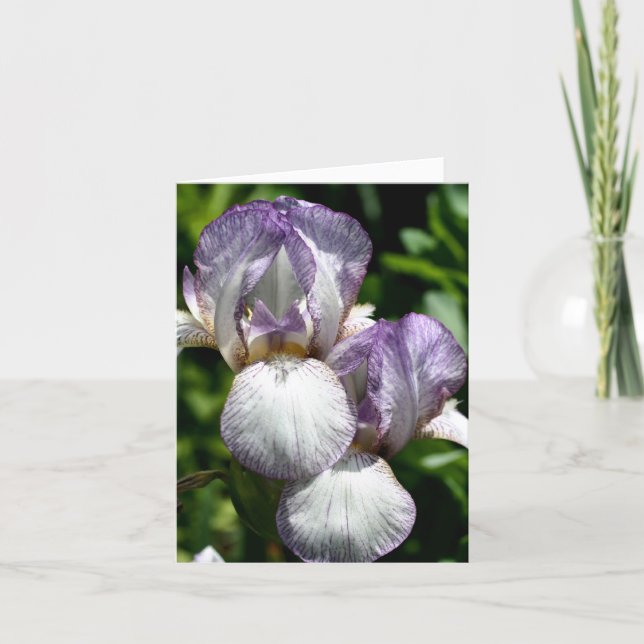 Bearded Iris Pair Flower Photography  Note Card (Front)
