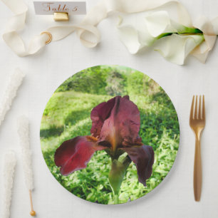 Bearded Iris Paper Plate