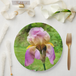 Bearded Iris Paper Plate
