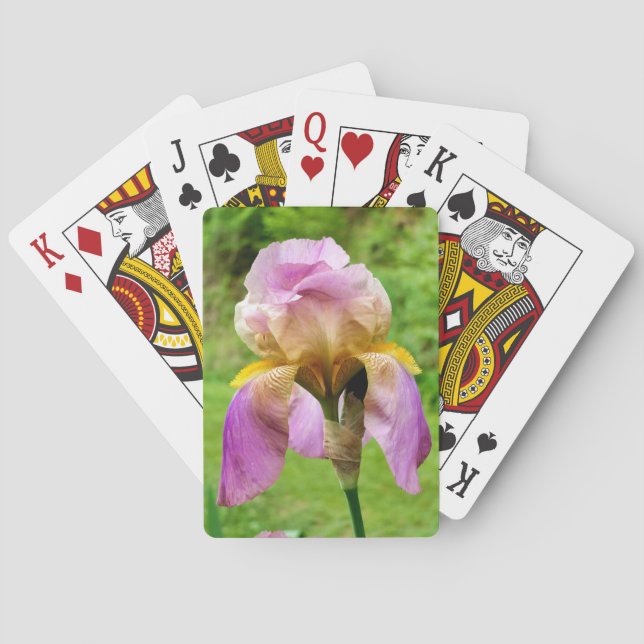 Bearded Iris Playing Cards (Back)