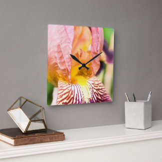 Bearded Iris Square Wall Clock