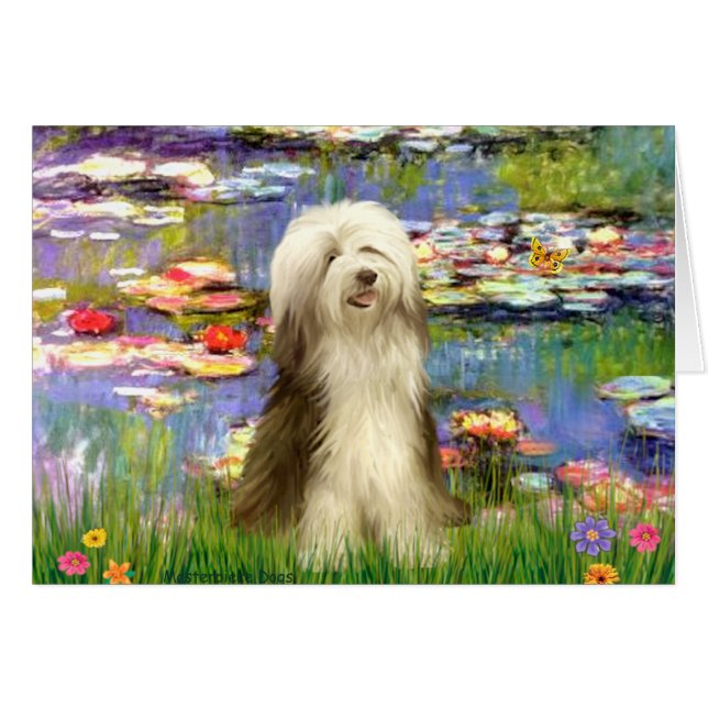 Beardie 16 - Lilies 2 (Front Horizontal)