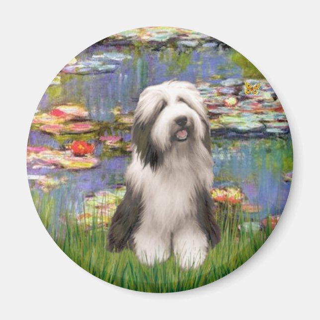 Beardie 1 - Lilies 2 Magnet (Front)
