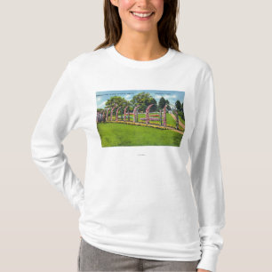 Beardsley Park View of the Botanical Gardens T-Shirt