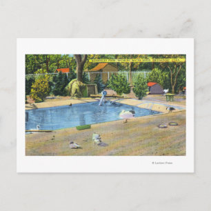 Beardsley Park View of Waterbirds Postcard