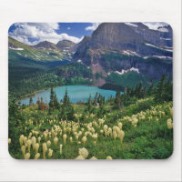 Beargrass above Grinnell Lake in the Many