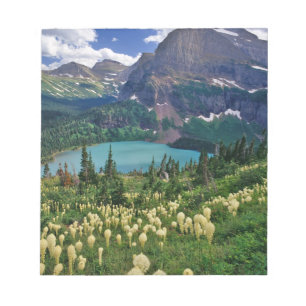 Beargrass above Grinnell Lake in the Many Notepad