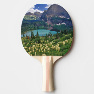 Beargrass above Grinnell Lake in the Many Ping Pong Paddle