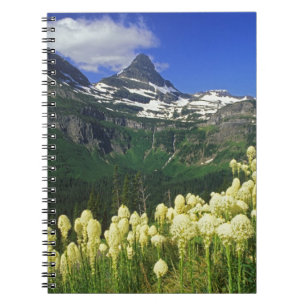 Beargrass at Logan Pass in Glacier National Park Spiral Notebook
