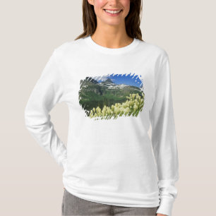 Beargrass near Logan Pass in Gacier National T-Shirt