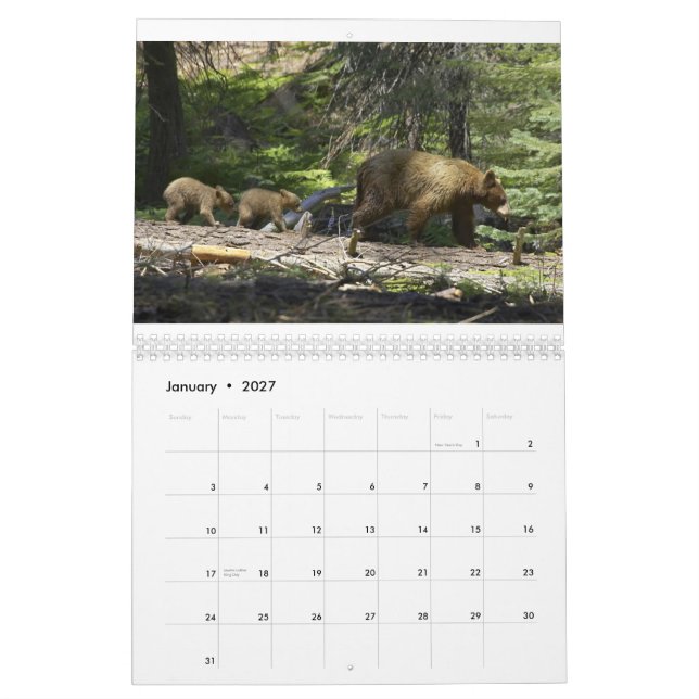 Bears by Edward Hughes Calendar (Jan 2027)