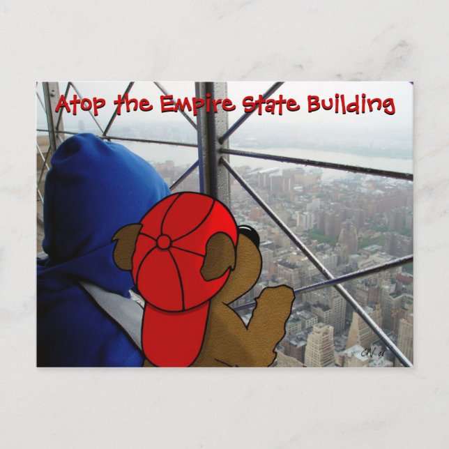 'Bear's Dizzying View' NY Postcard (Front)